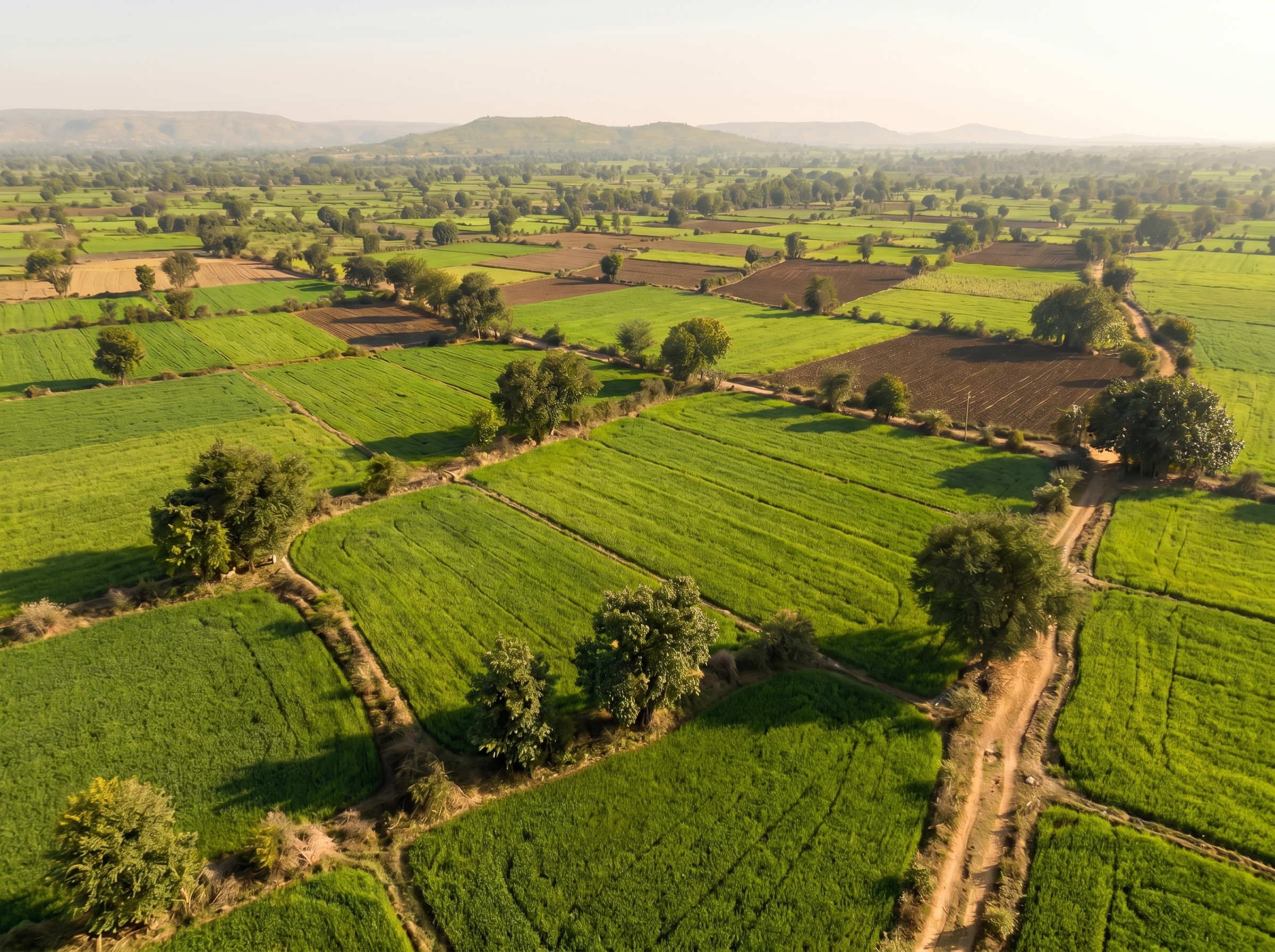 Green farmland in Madhya Pradesh